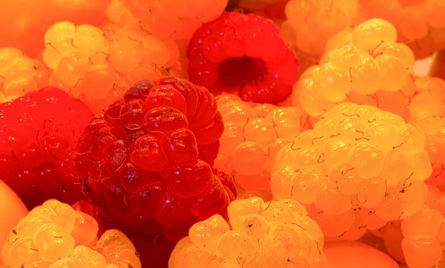 J羅的故事 J羅的故事