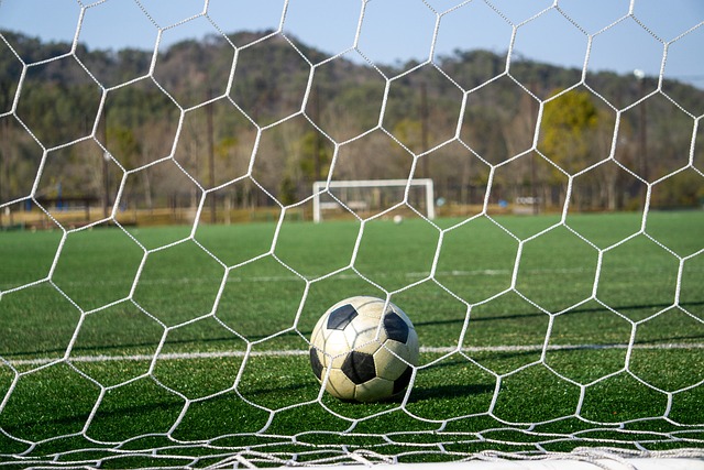 我们不妨一 我们不妨一