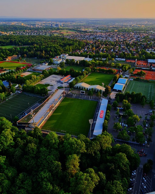 和热爱体育 和热爱体育