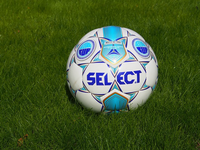 围内树立了 围内树立了