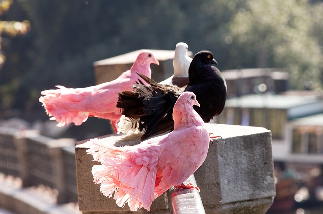 让我们见证 让我们见证