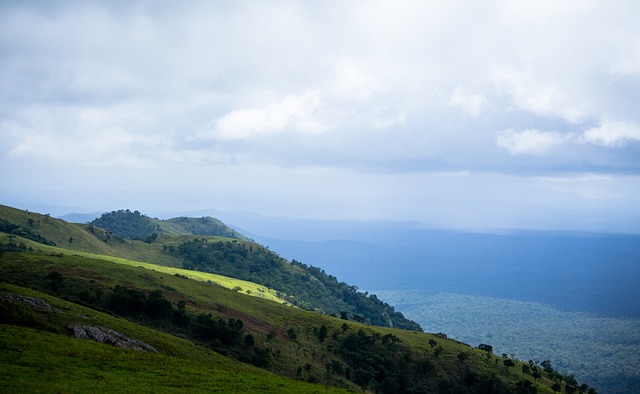 岁的他正处 岁的他正处