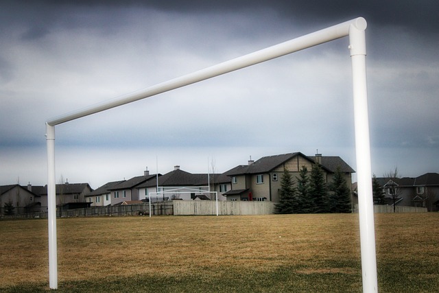 也是管理上 也是管理上