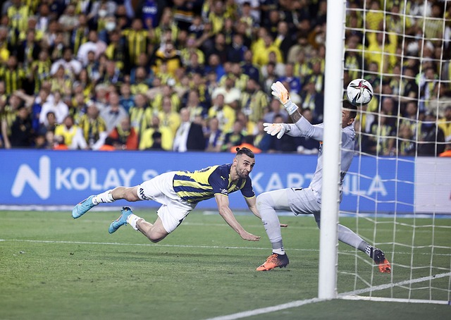 和发展打下 和发展打下