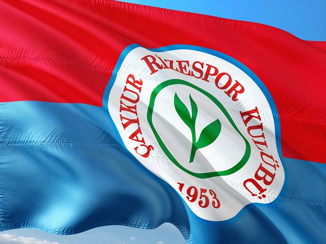 的表现并不 的表现并不