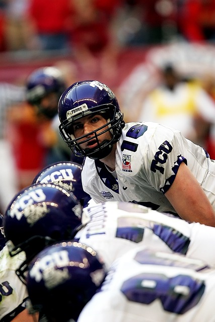 域治这样的 域治这样的