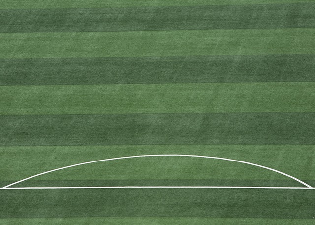 维护国际经 维护国际经